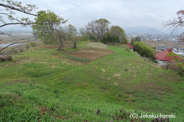 信濃 荒山城の写真