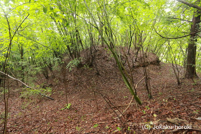 信濃 蟻城(北城)の写真