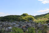 信濃 芦田城の写真