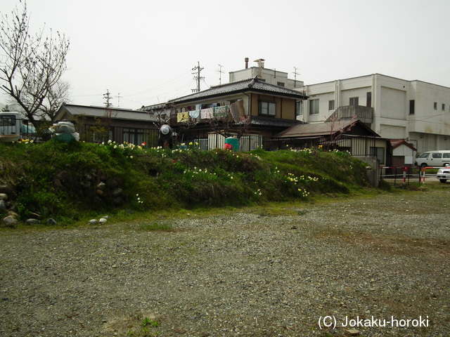 信濃 大念寺館の写真