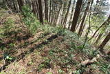 信濃 土橋城の写真