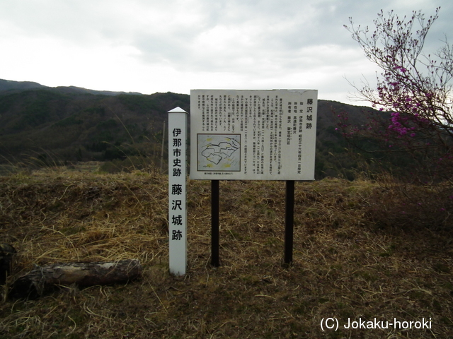 信濃 藤沢城の写真