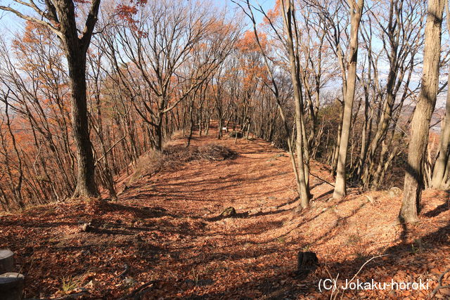 信濃 埴原城の写真