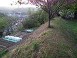 信濃 花岡城(岡谷市)の写真