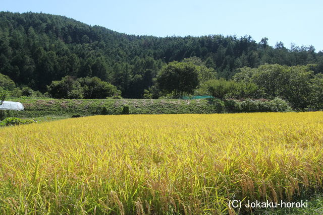 信濃 橋場城の写真