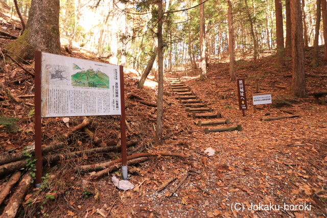 信濃 波田山城の写真