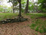 信濃 平賀城の写真