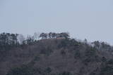 信濃 平尾城の写真