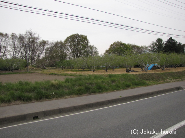 信濃 平尾館の写真