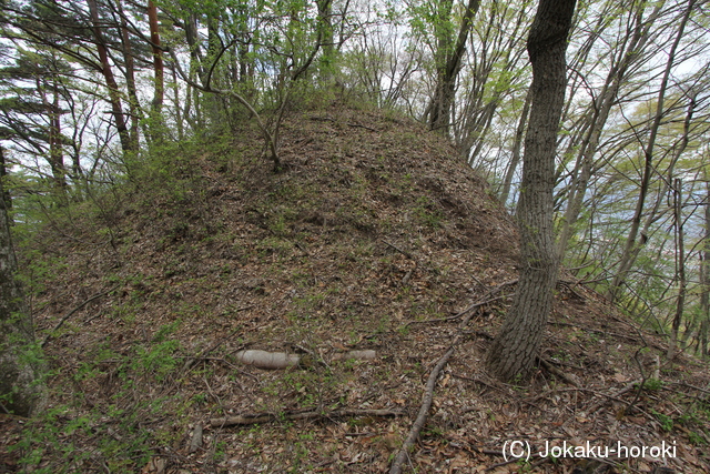 信濃 平瀬城(北支城)の写真