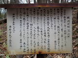 信濃 干沢城の写真