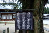 信濃 飯島城の写真