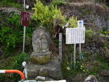 信濃 稲倉城の写真