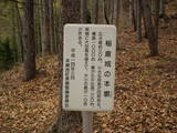 信濃 稲倉城の写真