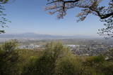 信濃 井上城の写真
