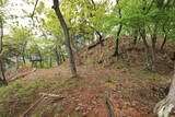 信濃 入山城の写真