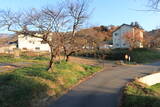 信濃 岩渕城の写真