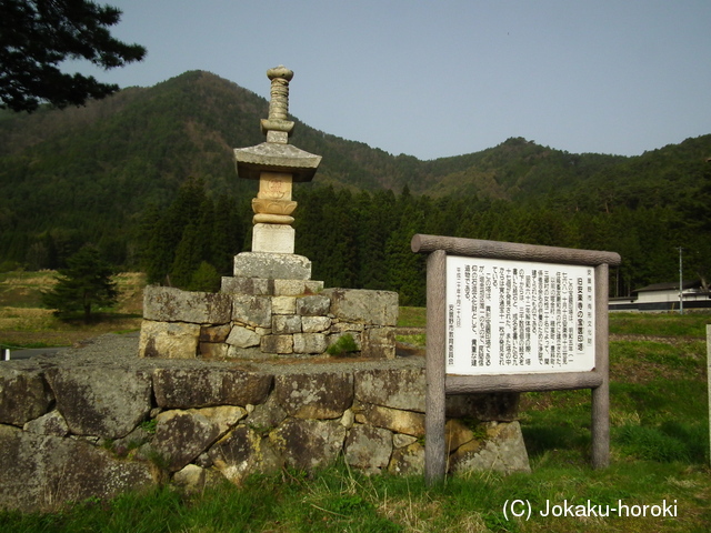 信濃 岩原城の写真