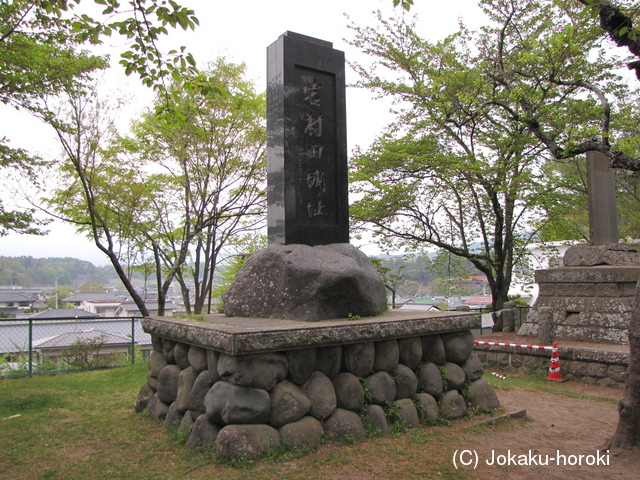 信濃 岩村田城の写真