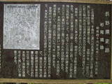 信濃 岩尾城の写真