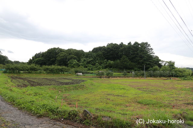 信濃 十二山城の写真