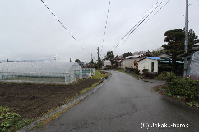 信濃 貝沼あら城の写真