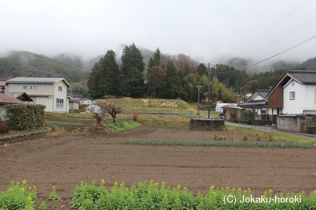 信濃 中島の城の写真