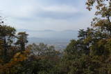 信濃 唐崎山城の写真
