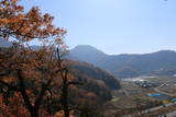 信濃 霞城の写真