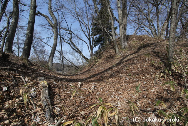 信濃 葛山城の写真