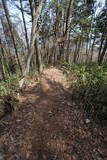 信濃 葛山城の写真