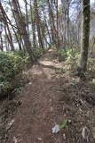 信濃 葛山城の写真