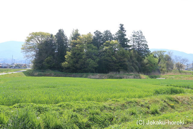 信濃 小池砦の写真