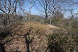 信濃 亀井城の写真