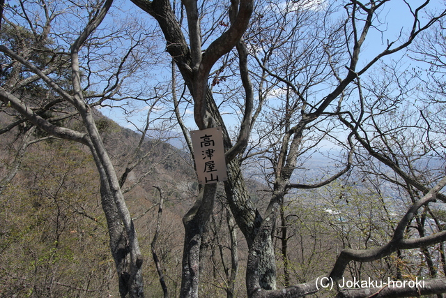 信濃 高津屋城の写真