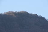 信濃 鳥小屋城の写真