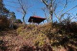 信濃 駒場城の写真