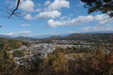 信濃 駒場城の写真