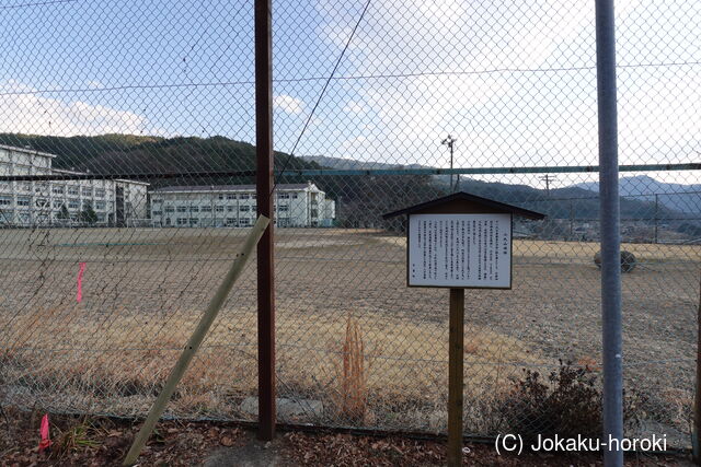 信濃 小丸山城の写真