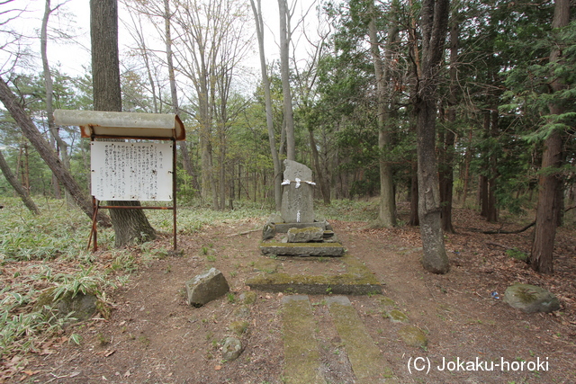 信濃 高津屋城の写真