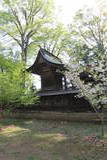 信濃 小坂神社館の写真