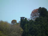 信濃 久米ヶ城の写真