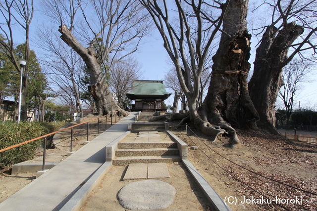 信濃 栗田城の写真