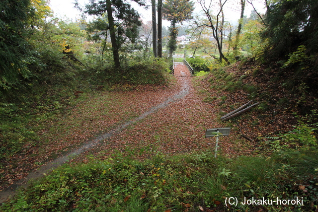 信濃 牧之島城の写真