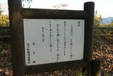 信濃 丸子城の写真