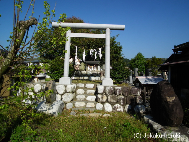 信濃 松尾館の写真