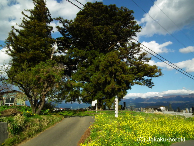 信濃 松岡古城の写真