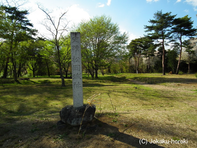 信濃 松岡城の写真