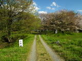 信濃 松岡城の写真