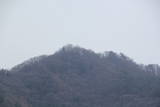 信濃 三水城の写真